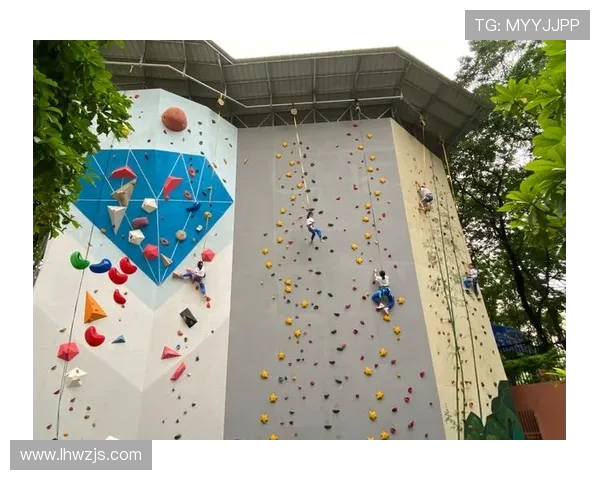 杭州攀岩队实力分析与表现评估探讨及未来发展方向研究