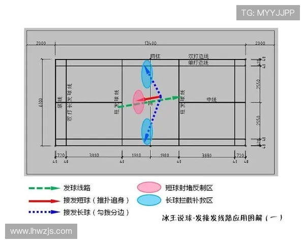武汉羽毛球队战术表现深度分析与数据解读探讨
