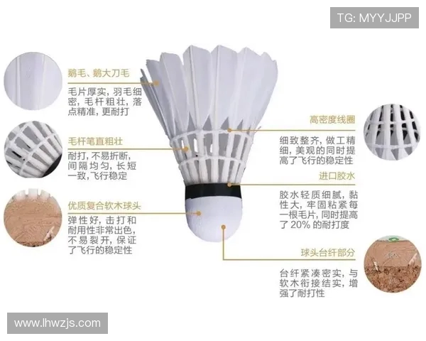 羽毛球深度解析：探秘北京羽毛球队的战术布局与竞技策略