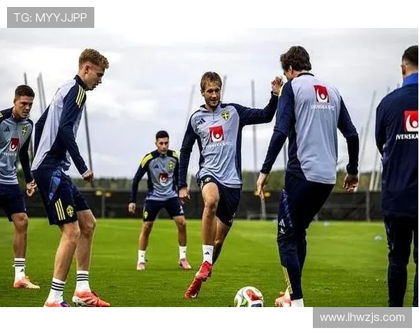 德国与瑞典精彩对决回顾比赛集锦尽显足球魅力与激情