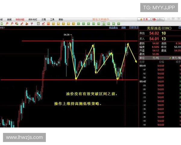 波动止损指标VS的实用技巧与应用分析探讨