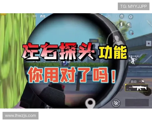 从零起步全面掌握和平精英技巧与策略的终极指南 从零起步全面掌握和平精英技巧与策略的终极指南